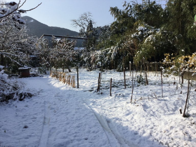 冬のお伊勢参りでよくある質問「伊勢って雪降りますか？」についてお答えします