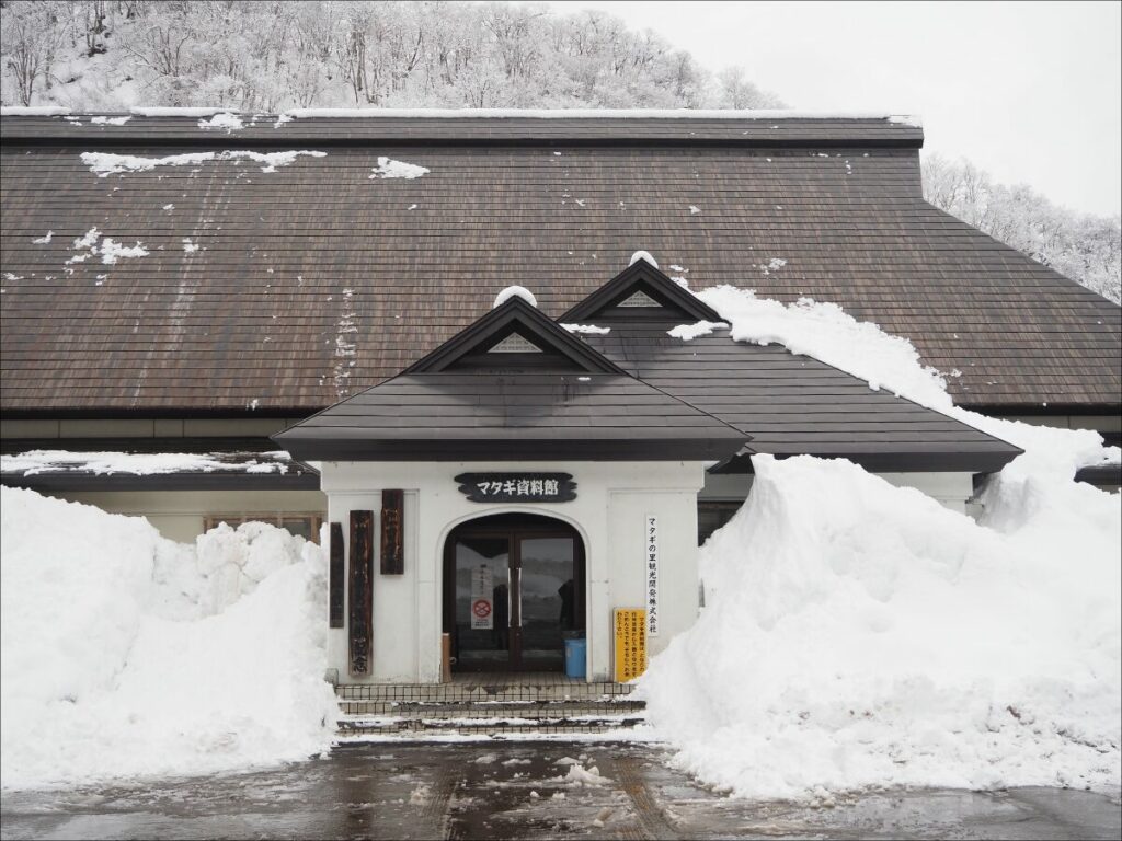 マタギ資料館横の雪がすごい