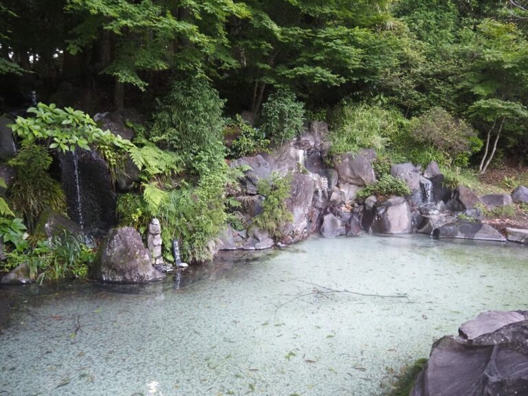 霧島神宮境内にある温泉が湧く池