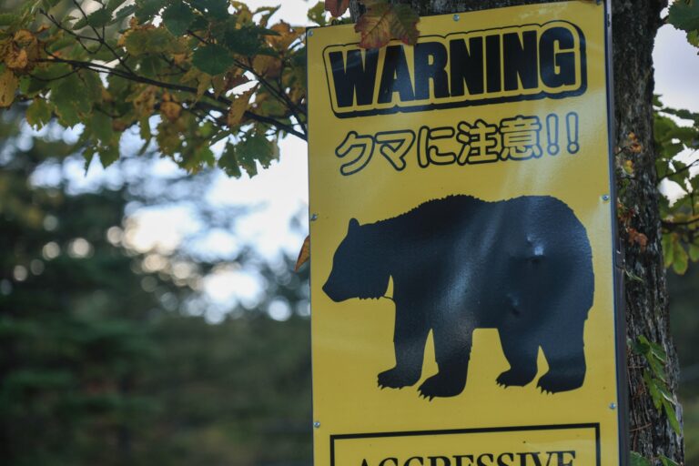 三重県がクマ出没マップの公開をはじめたようです